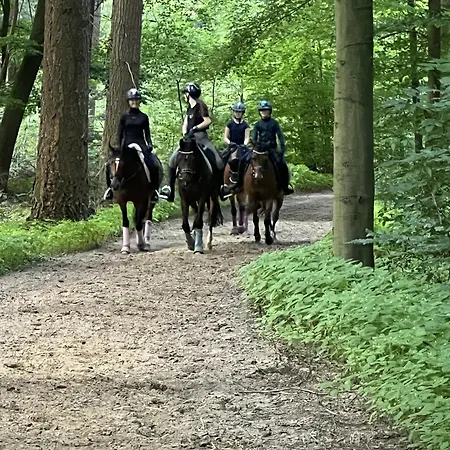 Inmitten Heide Und Apartamento Soltau
